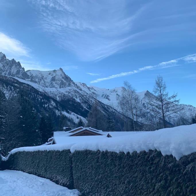 Belle Vue Des Praz Apartment Chamonix Ngoại thất bức ảnh