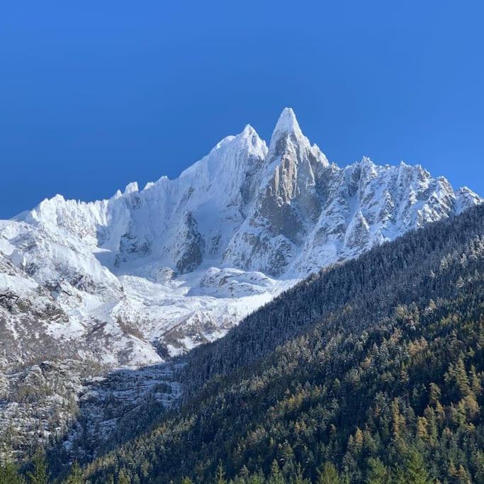Belle Vue Des Praz Apartment Chamonix Ngoại thất bức ảnh
